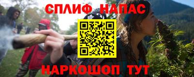 ешки Гай