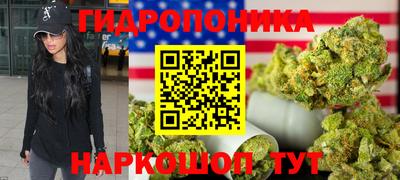 мдпв Гагарин