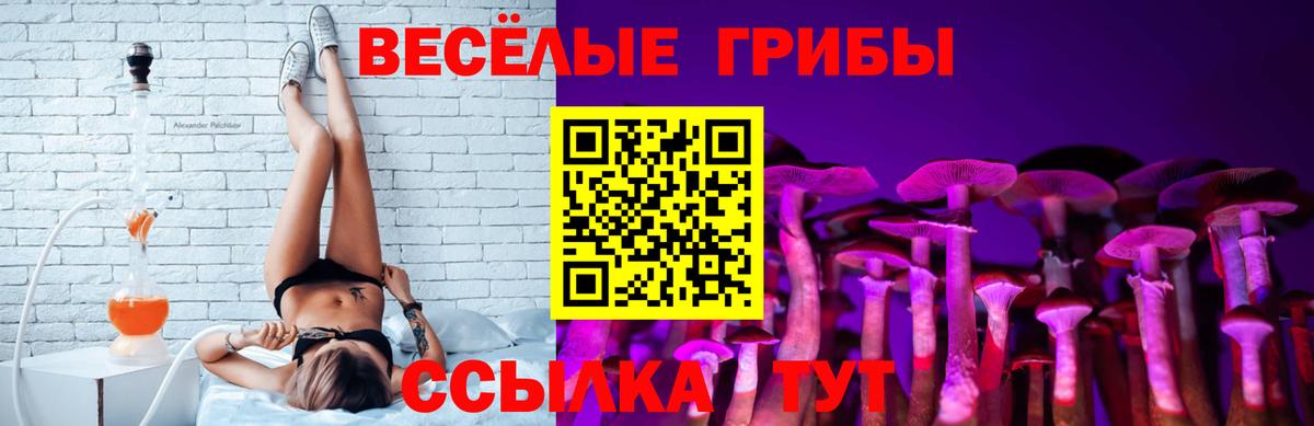 Галлюциногенные грибы ЛСД Нижнекамск